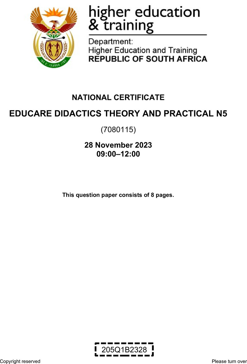 N390 Educare Didactics Theory And Practical N5 QP Nov 2023 preview