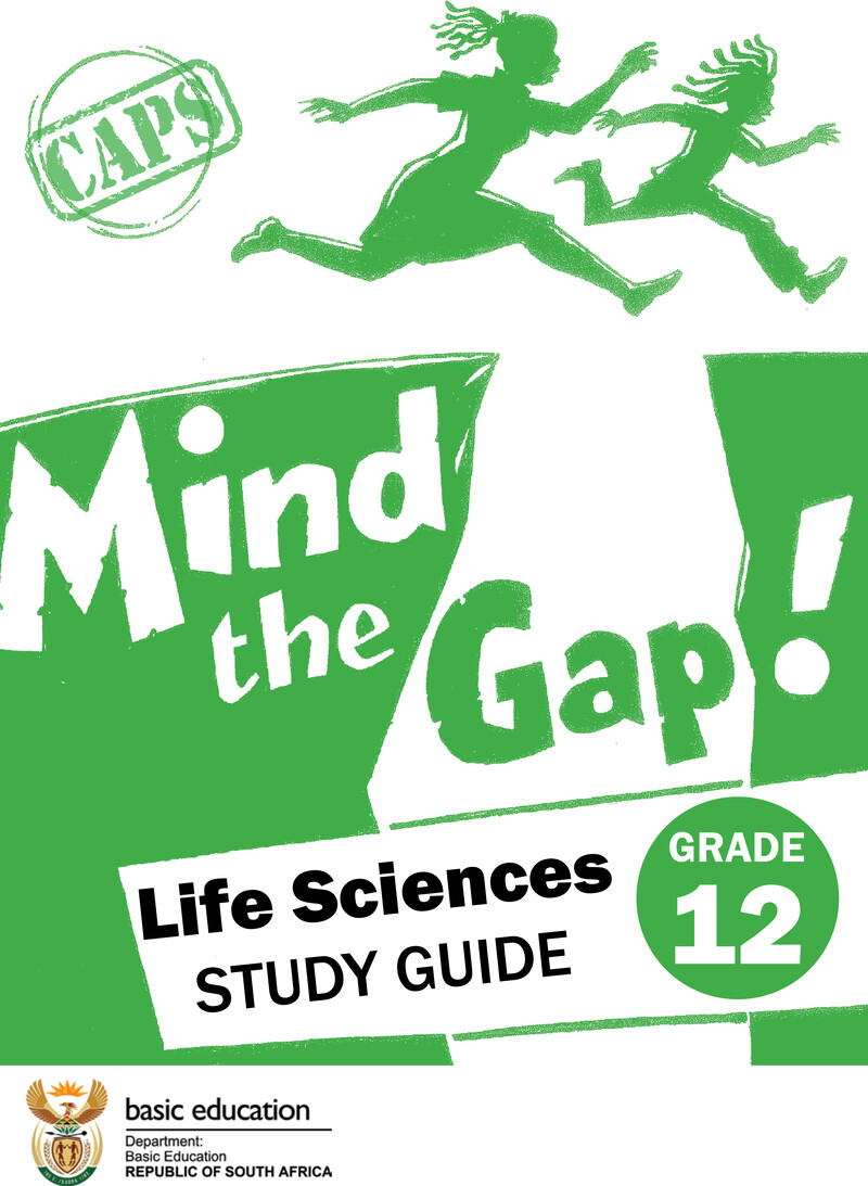 4B Mtg Life Sciences En